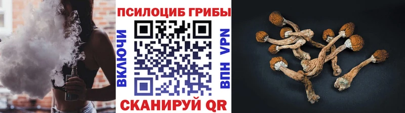 kraken tor  купить закладку  Новосибирск  Псилоцибиновые грибы Psilocybine cubensis 